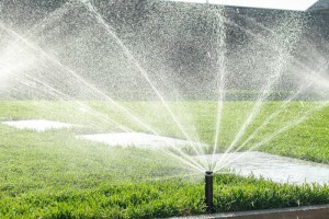 How to Find Irrigation Leaks